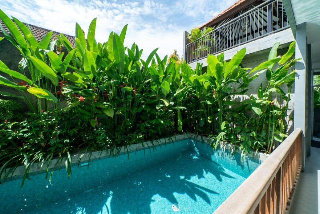 Guest house Euforia *